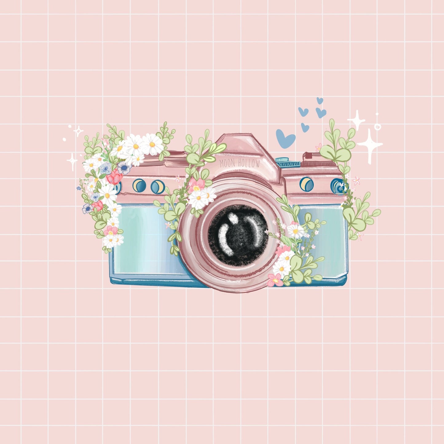 Picture perfect aesthetic sticker sheet, Stickers, camera, photography Illustration, journaling, Stationary, Bujo, scrapbook bullet journal.