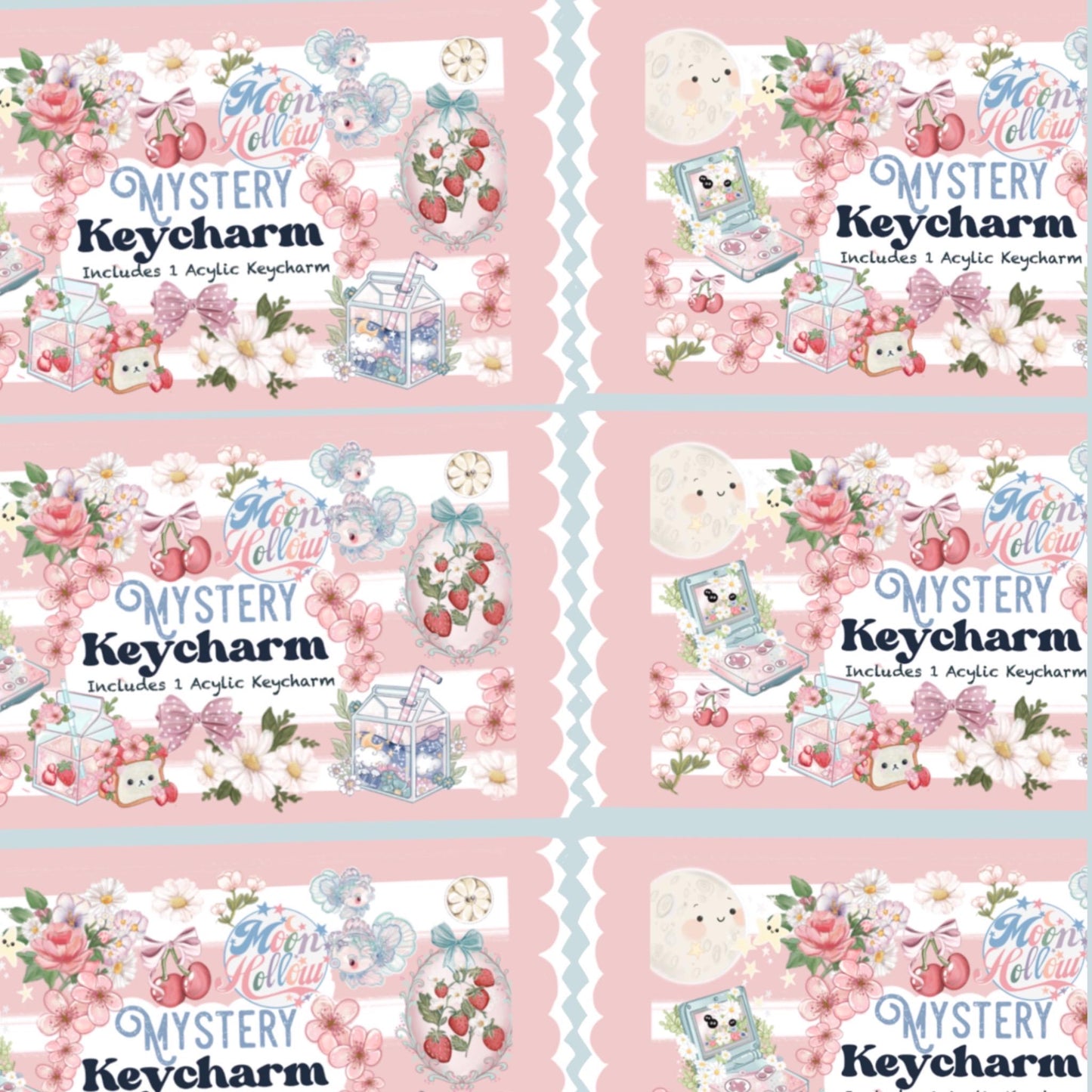 Mystery blind bag Kawaii cute acrylic bag charm.