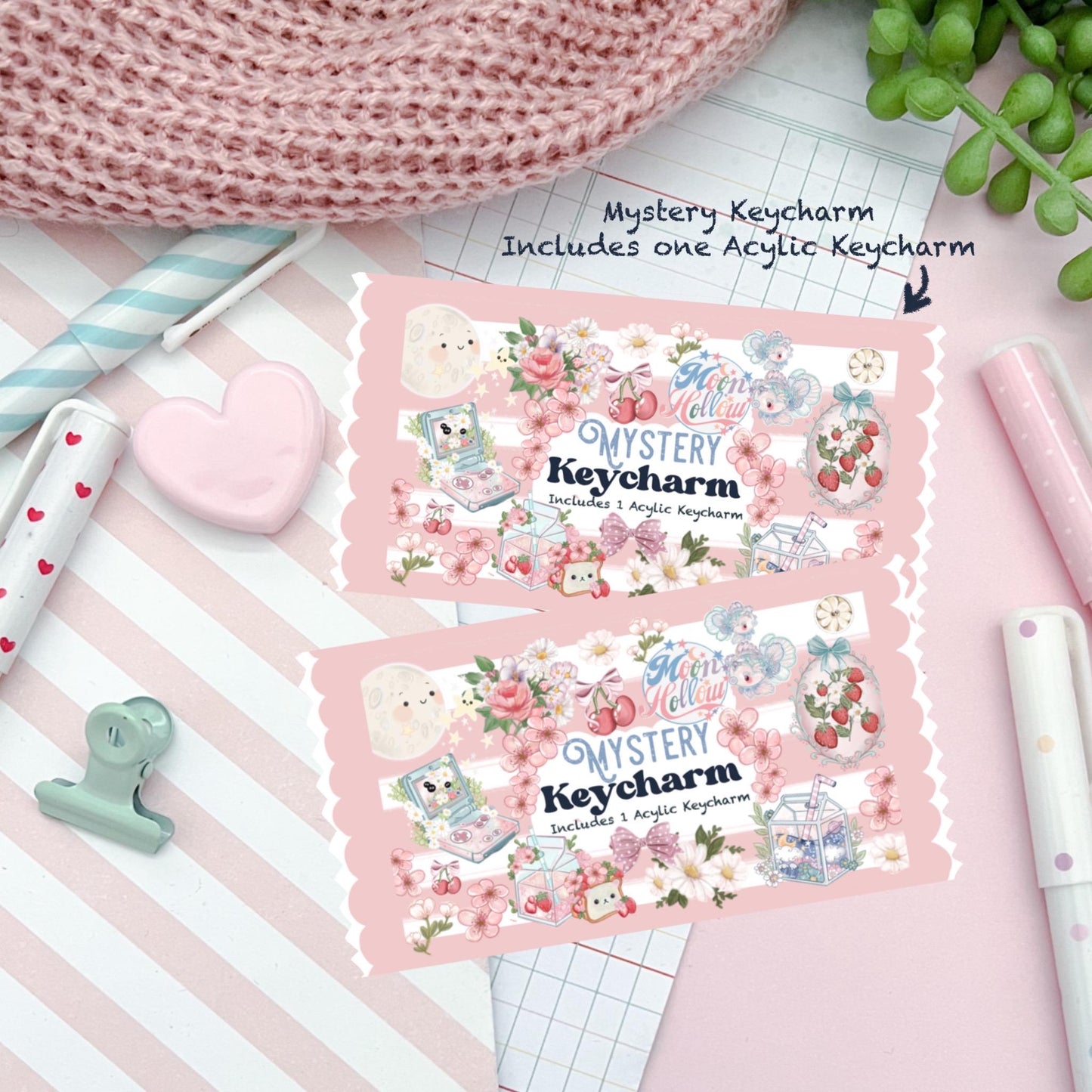 Mystery blind bag Kawaii cute acrylic bag charm.