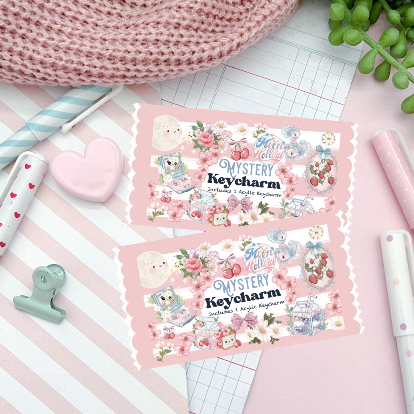 Mystery blind bag Kawaii cute acrylic bag charm.